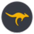 Dragão Partido uma análise profunda do trabalho da Neon Ridge