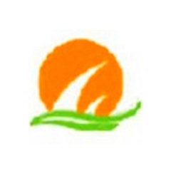 RPG explicado origens, mecânicas e melhores jogos do gênero